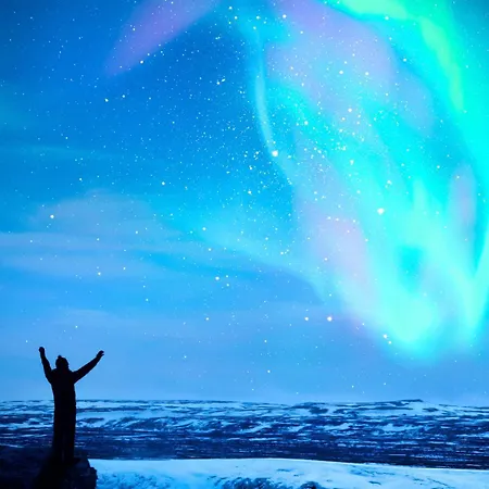 Kings Park - High End *