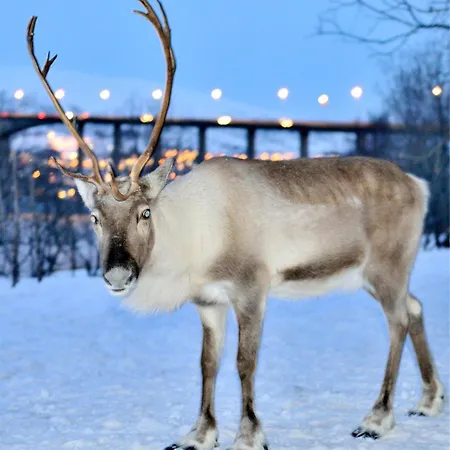 Apartman Kings Park - High End *