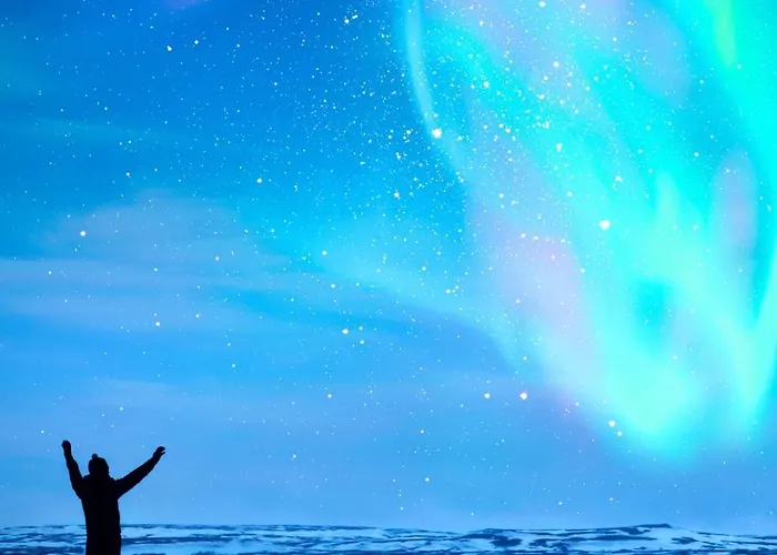 Kings Park - High End *