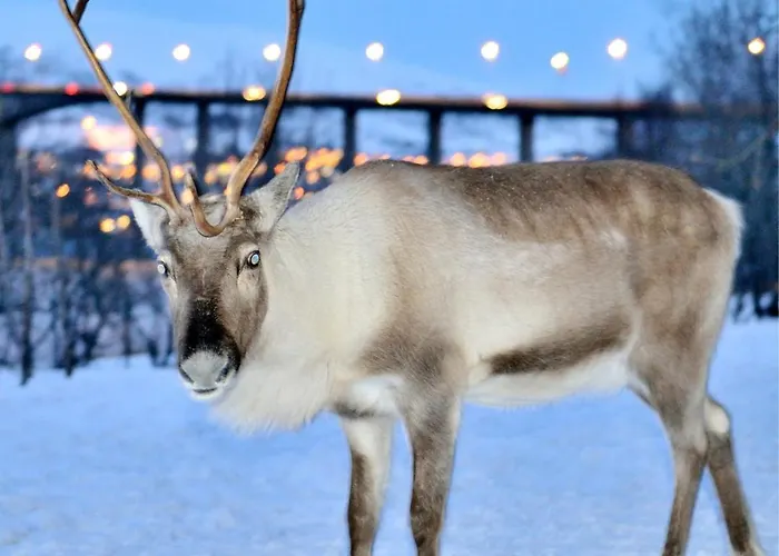 Apartamento Kings Park - High End *